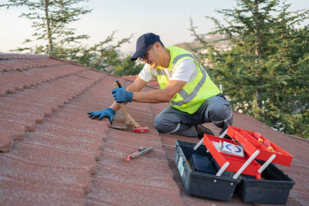 Best Roof Maintenance Services  in St George, MO